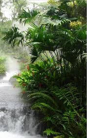 Rainforest Waterfall Of Naturalness Outdoor Beautiful Nature Landscape