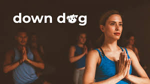 Down Dog Great Yoga Anywhere