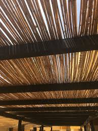 Bamboo Ceiling Pergola Cabo Casas De Campo Terraza Jardin Casas Ecologicas