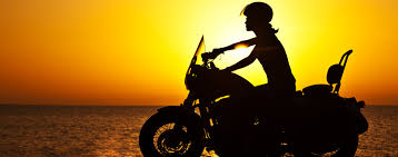 New Harley Davidson Models Preview 2021 Harleys