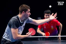 Butterfly timo boll alc table tennis blade ( flared (fl) ) rm 630.00 add to cart more info. Bernadette Szocs T2 Diamond