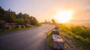 Check spelling or type a new query. 500 Nature Road Pictures Hd Download Free Images On Unsplash