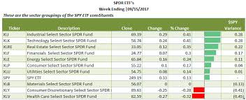 The Perplexed Investor