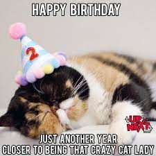 Funny Happy Birthday Celebration Memes Cat Lady Birthday Cat Birthday Funny Birthday Meme