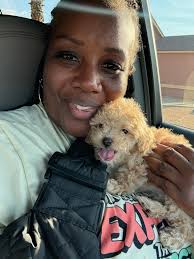 Is it normal for 9 week old poodle to follow owner?