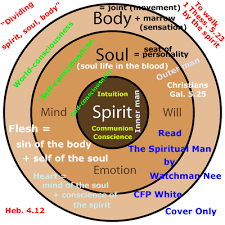 The Spiritual Man Spiritual Life And Spiritual Warfare Bible Teachings Bible Knowledge Spirituality