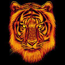 Maybe you would like to learn more about one of these? Fire Tiger In Cancer Zodiac Posts Facebook