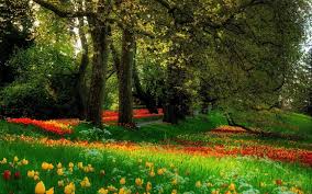 Beautiful Scenery Wallpaper 8211 Www Smscs Com Beautiful Nature Pictures Beautiful Scenery Wallpaper Beautiful Gardens
