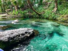 What is the largest spring in florida? Kelly Park Rock Springs Beautiful Park Cool Swimming Hole Shaded Campground