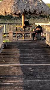 Lesbians in Park - ThisVid.com