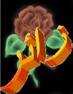 أرقام هواتف الفنانين نانسي عادل امام هيفى وهبي تامر حسني