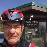 50+ "Caselli" profiles