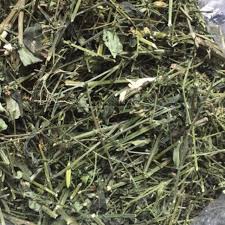 Dược liệu này có khả năng kéo dài thời gian sống cho chuột nhắt suy hô hấp do bị rắn độc cắn. Xuyen Tam Lien Khang Sinh Tháº£o DÆ°á»£c 1kg Shopee Viá»‡t Nam
