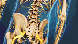 Maybe you would like to learn more about one of these? Slideshow 7 Ways Internal Organs Can Cause Lower Back Pain