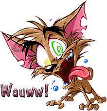 Image result for wow