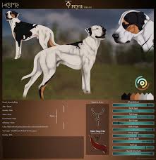 Pin By Puma Chan255 On Sketch Dog Drawing Canine Art Canine Drawing