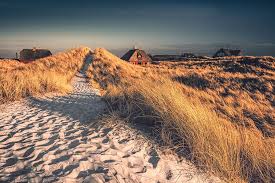 Landschaft und natur bet soltau. Dunenpfad Henne Strand Dirk Wiemer Fotografie Danemark Urlaub Weltreise Danemark