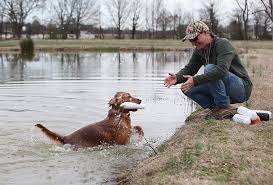 Please click this link for more information about pricing. Don T Stop Retrievin Ay Magazine