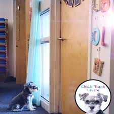 Chalkteachcreate On Instagram Throwback To When Kona Came To Visit The Classroom Tpt Bts Backtoschool Icebreaker Bull Instagram Visiting Back To School