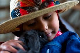 Recent — Tegan Conner