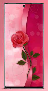 Gambar bunga cantik untuk wallpaper. Wallpaper Bunga Cantik Offline Pour Android Telechargez L Apk