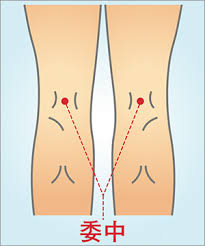腰痛の時におすすめのツボ！ | ペガサス鍼灸接骨院