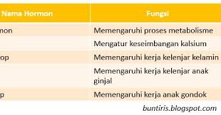 Itulah yang dapat admin bagikan mengenai jenis hormon pada manusia dan fungsinya. Soal Dan Pembahasan Un Materi Tentang Hormon Bsb