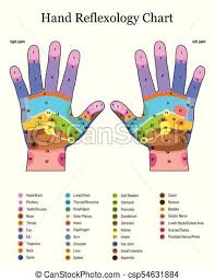 hand reflexology table listing