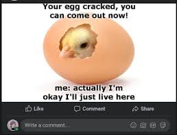 Lgbtq+ memes/comedy group has 31,862 members. Day 10 Of Posting Lgbtq Memes Until My Family Catches On Or I Give Up Lgbt