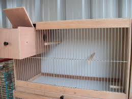 How To Make A Cockatiel Breeding Cage Gaiola Para Calopsita Casas De Passaros Decorativas Viveiros Para Passaros