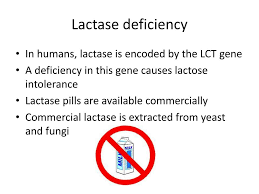 Image result for Lactase Deficiency