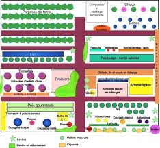 Exemples De Plans De Potager Et De Contenus De Potager Plan Potager Potager Organiser Potager