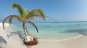 Image result for sea