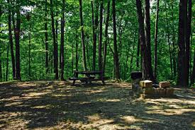 Maybe you would like to learn more about one of these? West Virginia State Parks And Forests Campgrounds Pet Friendly Travel