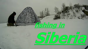 Zimnyaya Rybalka V Sibiri Pervoe Video 2020 Goda Youtube