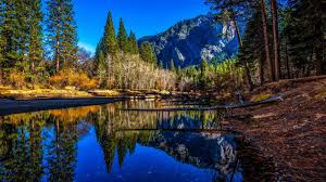 You can garnish your personal computer and your mobile gadgets with one of the colorful nature wallpapers provided on wallpaperfx, it is the best idea to have beauty in front of your eyes wherever you look around you. 3970 Best Amazing Nature Wallpapers 1920x1080 Mocah Hd Wallpapers