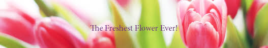 158 likes · 5,489 were here. Wreath Condolence Flowers Sympathy Flowers Funeral Flowers Flower Stands Bereavement Demise Nirvana Gui Yuan Xiao En Fairy Park Funeral Parlour Kong Tong