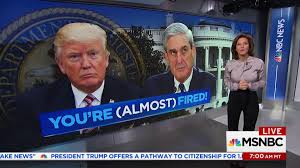 trump fake news ile ilgili gÃ¶rsel sonucu