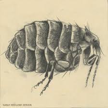 Pin On 31 Days Of Fairy Tales 2018