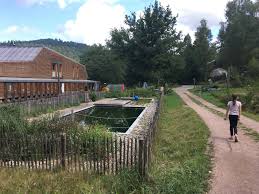 een pareltje in de vogezen camping du mettey in vagney camping buitendecoraties zwembaden