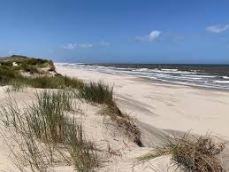 Some apartments offer sea views. Haus Seepferdchen Borkum Startseite Facebook