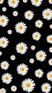Black And White Daisy Wallpaper Could You Guys Share This Wallpaper Moonemoji Iphone Wallpaper Hipster Daisy Wallpaper Iphone Wallpaper
