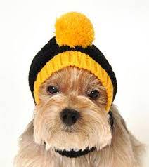 Pittsburgh Steelers Nfl Official Licensed Ski Hat For Dogs In Color Black Yellow Dog Hat Pittsburgh Steelers Steelers