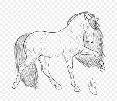 Maybe you would like to learn more about one of these? Kuda Friesian Buku Mewarnai Kuda Gambar Png