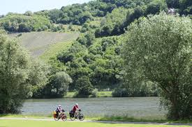Startseite Fahrradverleih In Bernkastel Kues
