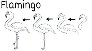Pink flamingo keyboard theme for android apk download. Cara Menggambar Burung Flamingo Mudah Youtube