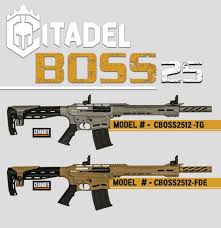 Thoroughly clean + 50 rounds of ammo for maximizing cycling. Lsi Adds Two Citadel Boss 25 Offerings