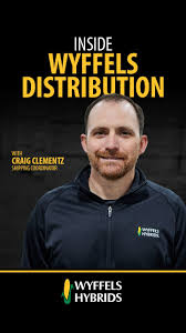 Illinois Agronomy Manager Ryan Gentle completes a flagging field test by  hand shelling and measuring the average ear weights by emergence day.  Explore more agronomic topics with Wyffels Hybrids