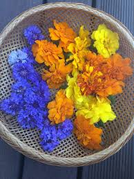 Edible flowers are flowers that can be consumed safely. Cooking With Flowers How To Dry Edible Flowers