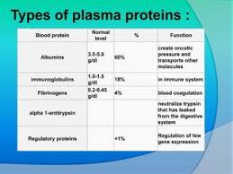 Plasma Proteins – A Comprehensive Review - My Endo Consult